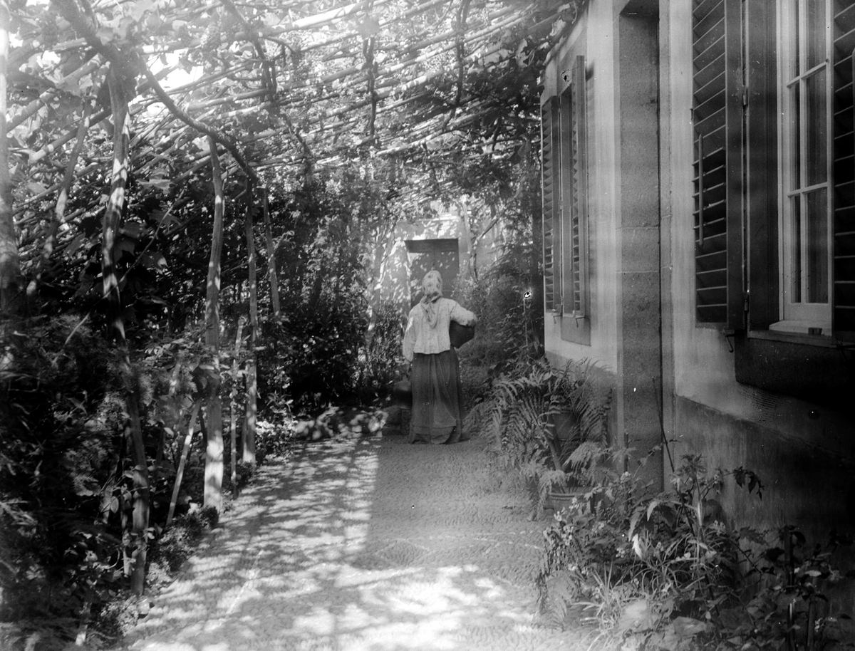 Juliane Fredrikke Langberg, Fra Madeira (ant.), kvinne som bærer noe på overdekt plass utenfor bolighus. Serie ant. fra reise tilbake dit fotografen var med sin mor (1862-63) og hvor moren døde 1863. Fra malerinne Juliane Fredrikke Langbergs (1856-1930) samling tatt 1885-1910 med motivkrets slekt og venner og steder tilknytte…