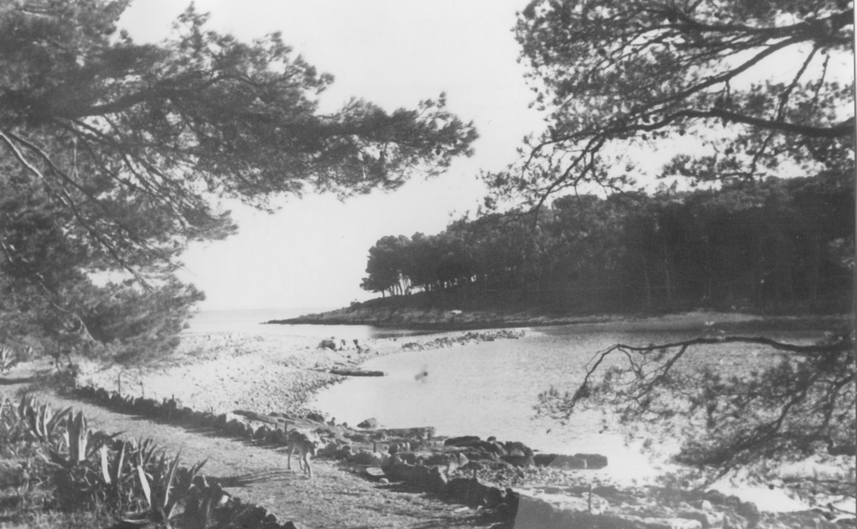 Branko Fučić, Sveti Andrija (Rovinj), rimske ruševine u Val del Maschin