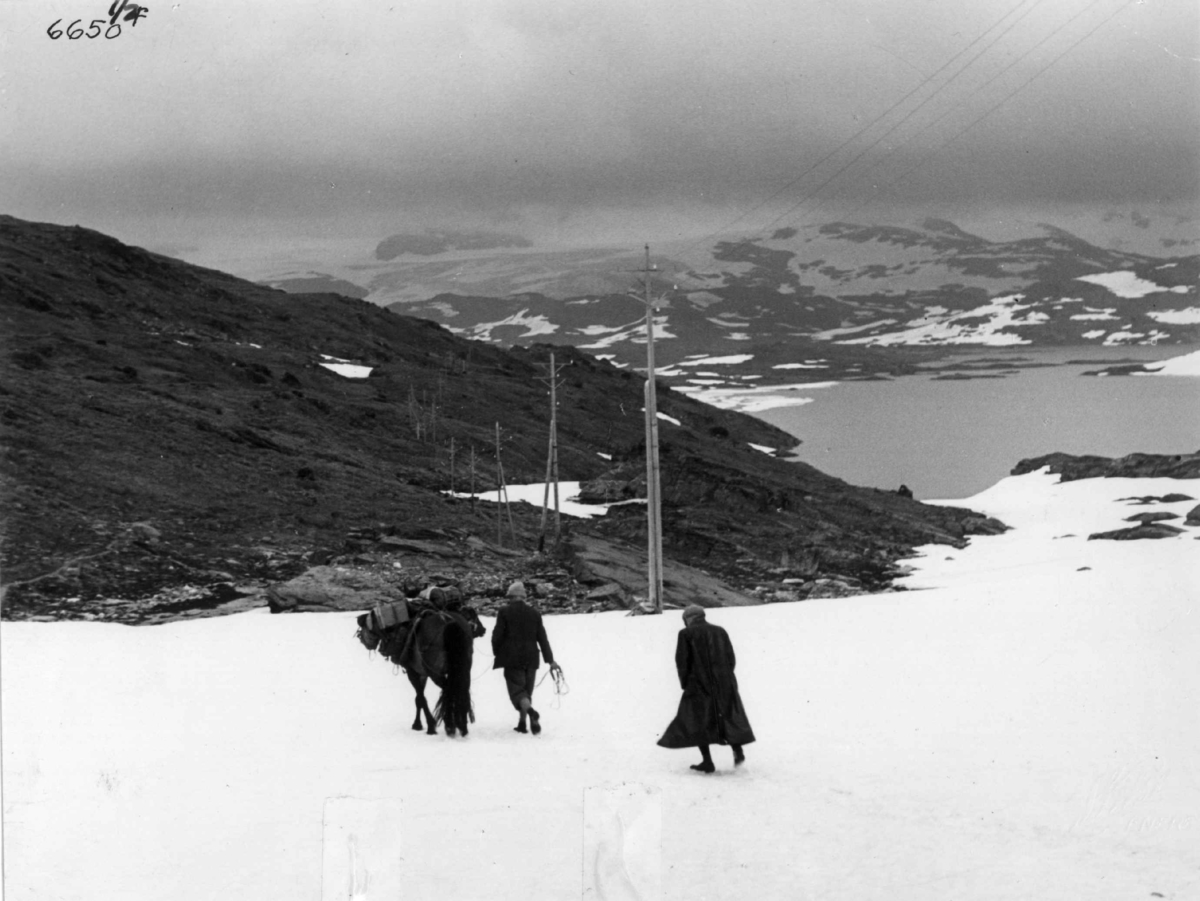 Anders Beer Wilse, Med kløvhest over fjellet