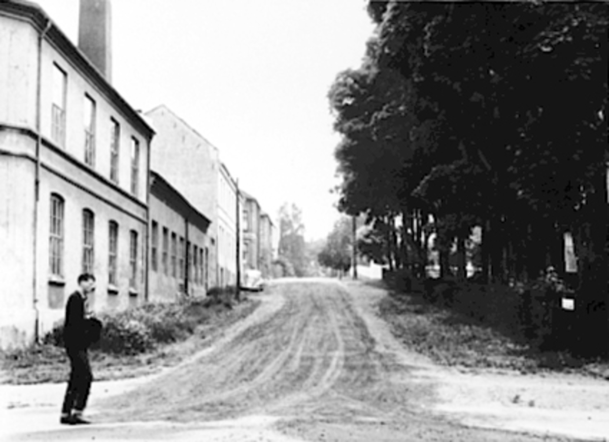 Anno Domkirkeodden, FALSENSGT. , STANGEVEGEN 34, MANN, VØLUND, NORRØNA SKOFABRIKKFremst til v. Vølund fabrikk og bak til v. over Østregt. Norrøna Skofabrikk