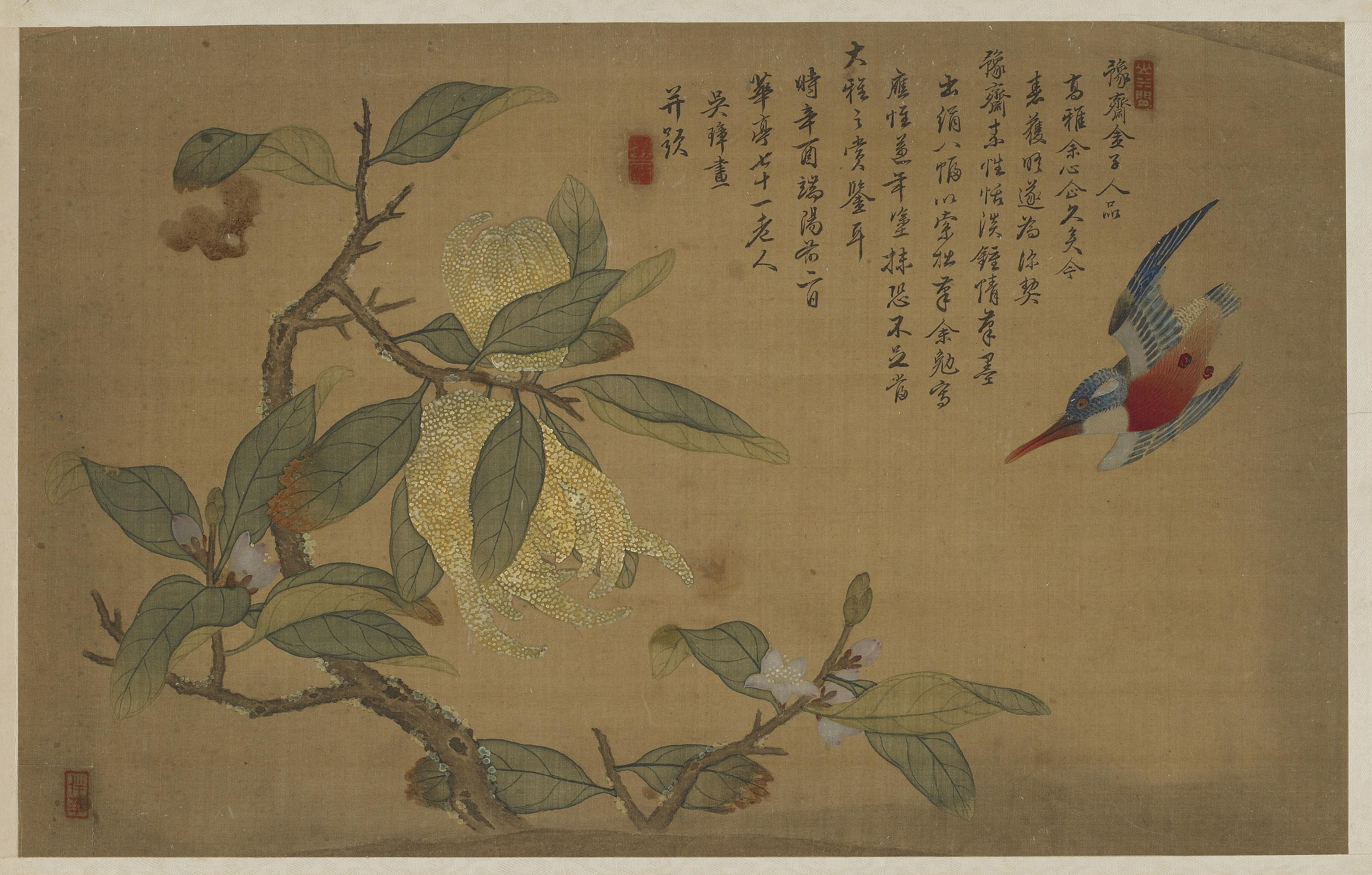 Wu Zhang, Bird, fruit, and flowers