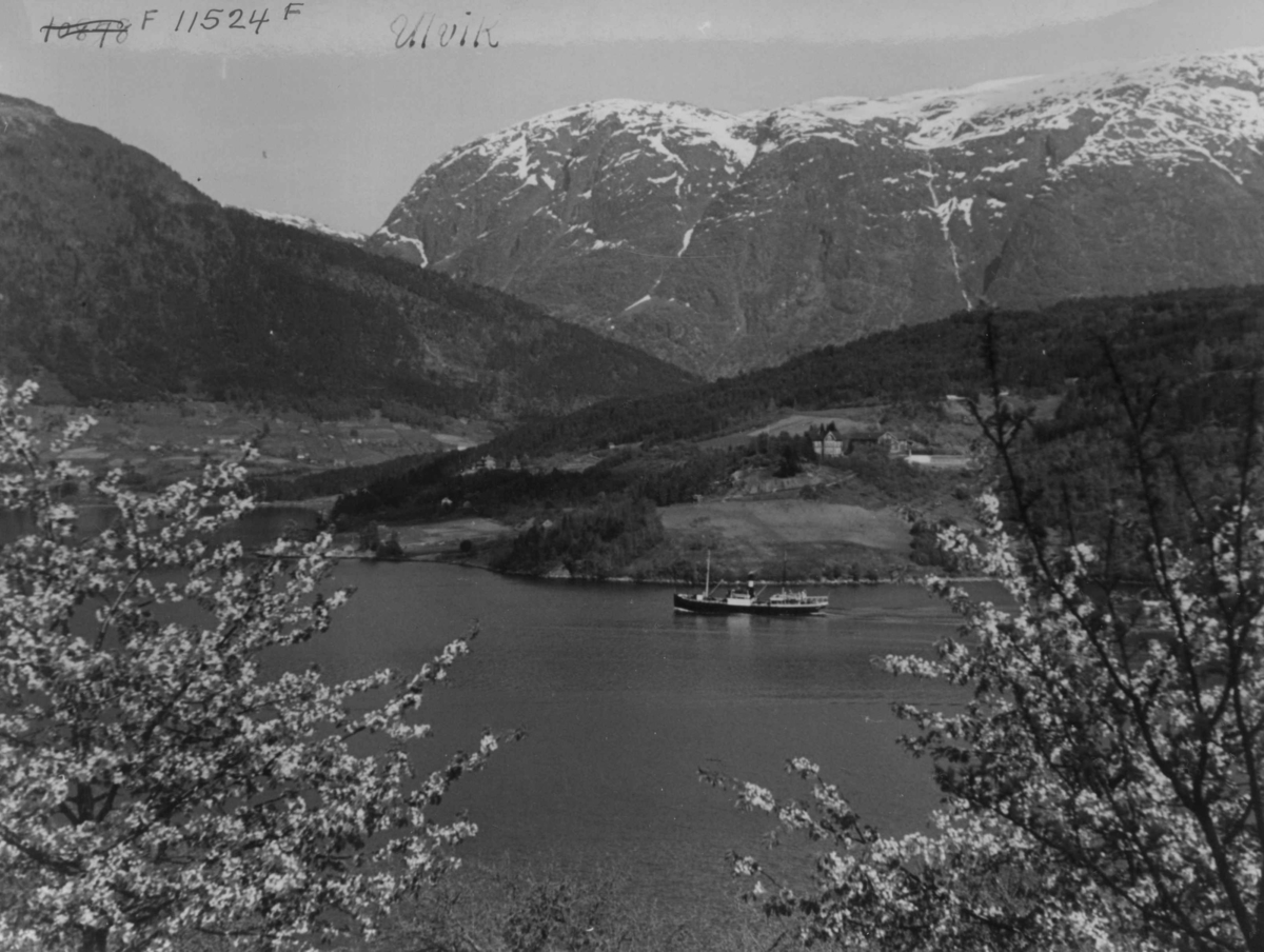 Anders Beer Wilse, Wilse original, Fruktblomstring, Samferdsel, Båt