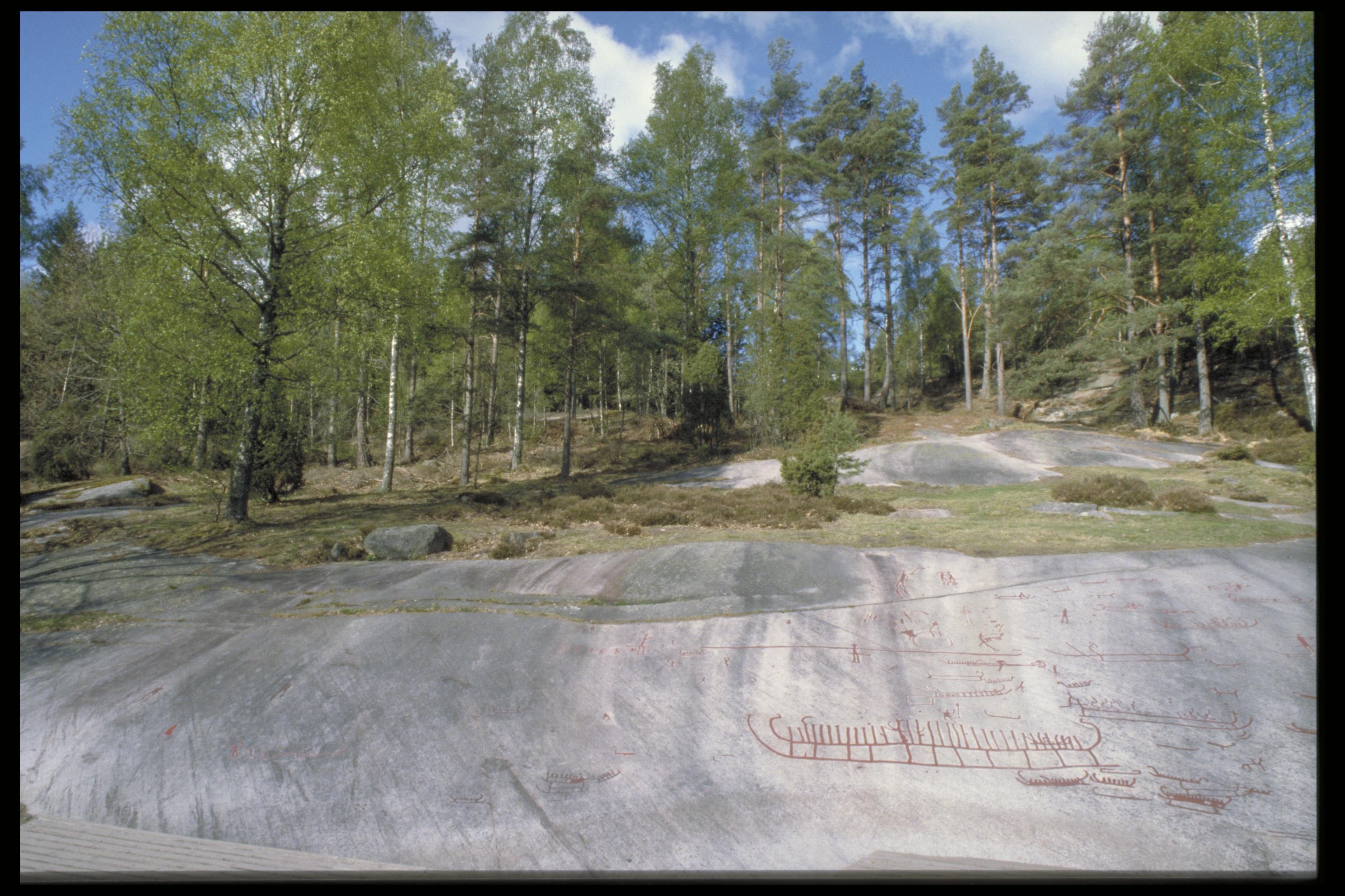 Bengt A Lundberg, Vitlycke hällristningsområde