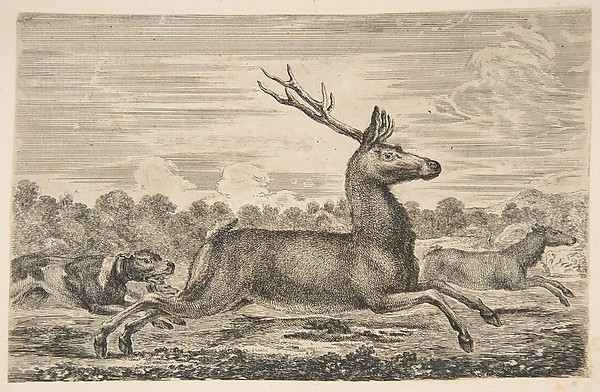 Stefano della Bella, Hounds Chasing a Stag and a Doe