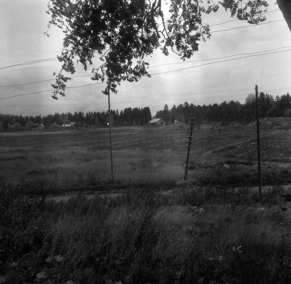 Adolf Skjegstad, ASK-02331