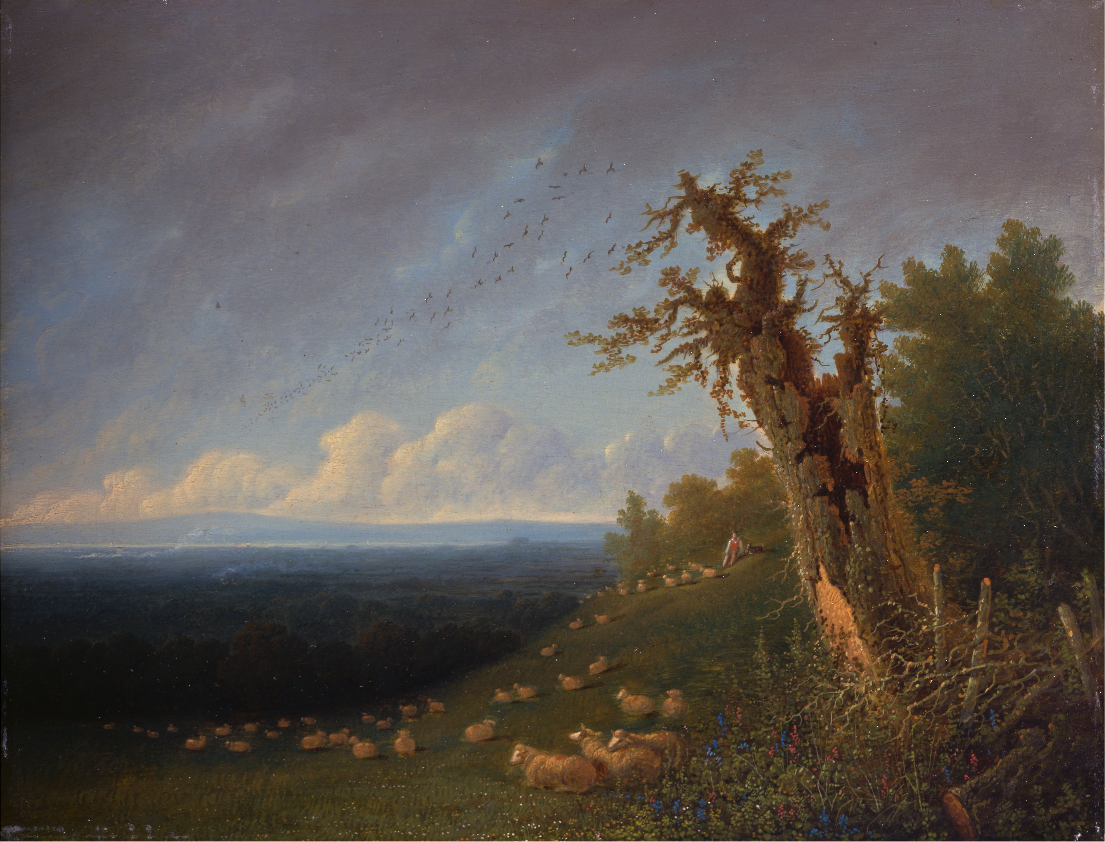 William Turner, Shepherd Boy on a Hillside