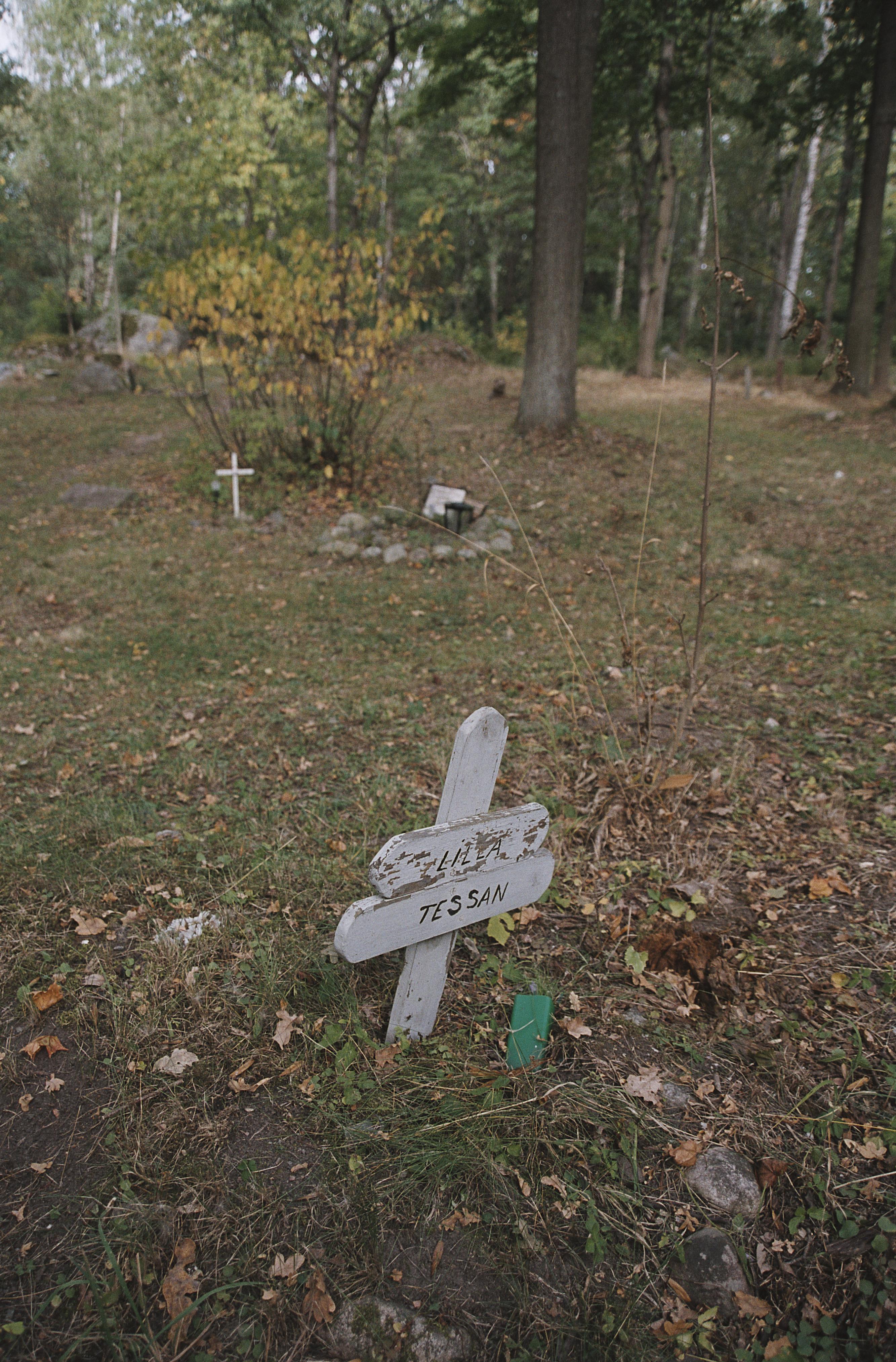 Bengt A Lundberg, Djurkyrkogården vid Kaknäs