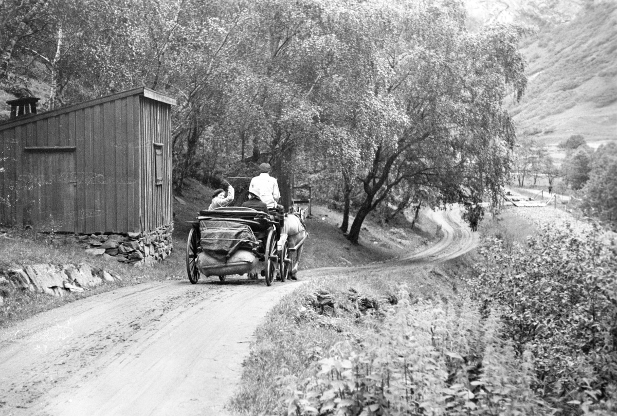 Anders Beer Wilse, Prot: Griser (feil i prot.)
