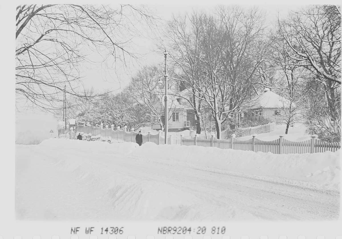 Anders Beer Wilse, Prot: Vinter Portnerbolien. Frogner Hovedgård