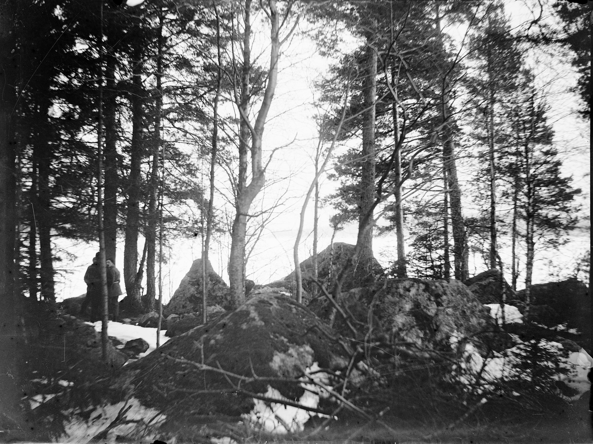 Carl Liljefors, Män i skogen vid sjö, Sverige