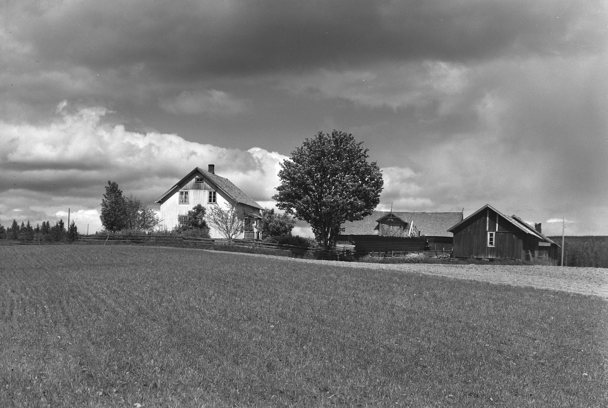 Anno Domkirkeodden, EKSTR: GARDSTUN, RØDMOEN. Se Løtenboka, bind 2. Bygdeboka fra 1953, side 190