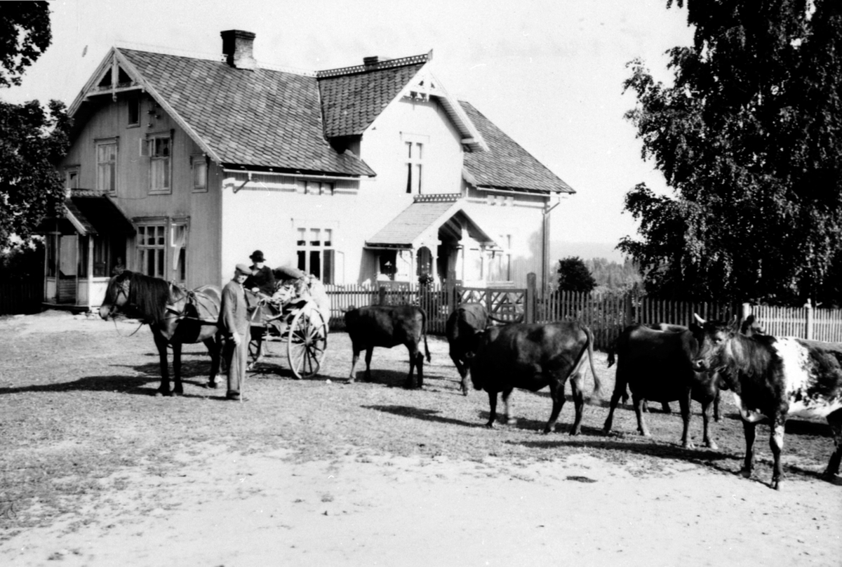 Anno Domkirkeodden, Kubølingen klar for reise til setra. Hest med gigg. I giggen er Inga og Ole Jevne, føderådsfolk på Leine østre, Ringsaker. De var seterfolkene mens de var føderådsfolk. Bonden var Erik Jevne.