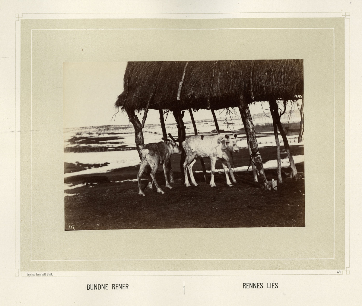 Sophus Tromholt, Billeder fra Lappernes Land/Tableaux du Pays des Lapons