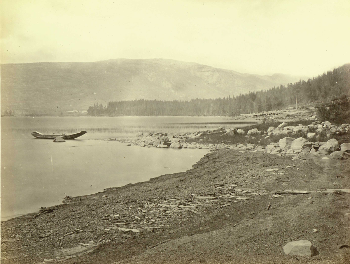 Henry Rosling, Landskap, "Near Eidstaaen"?, Telemark. Fra serie norske landskapsfotografier tatt av den engelske fotografen Henry Rosling (1828-1911).