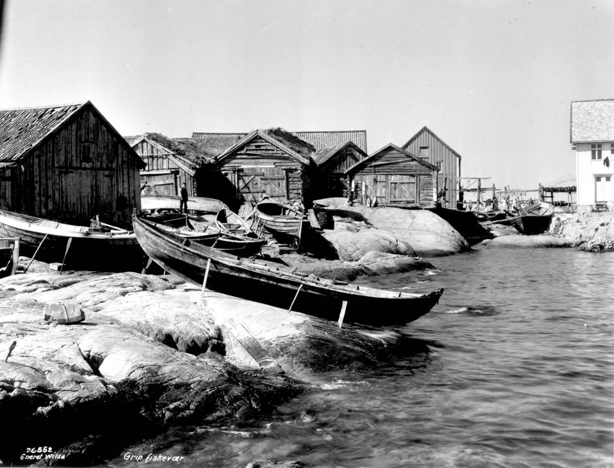 Anders Beer Wilse, Grip fiskevær