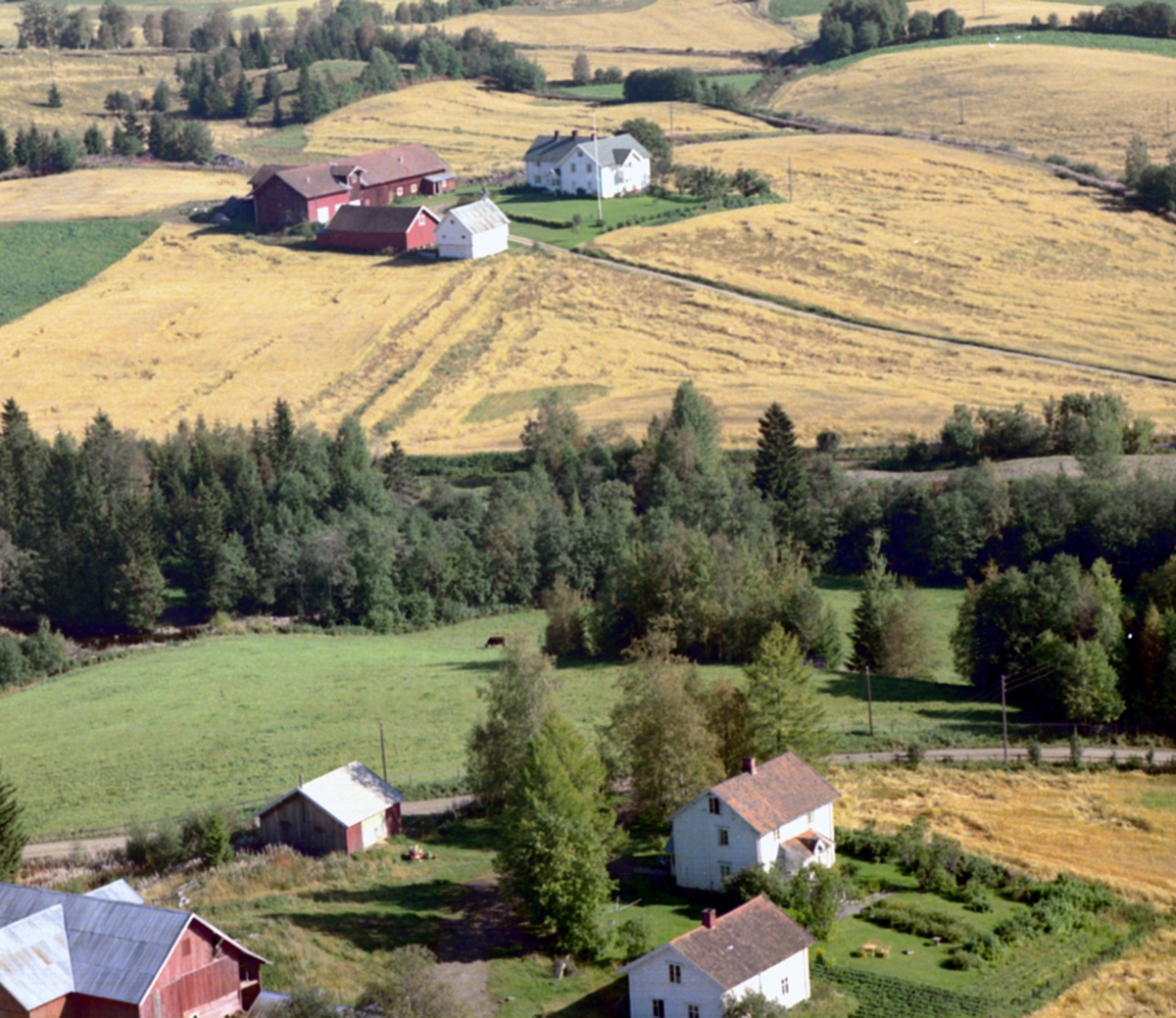 Widerøes Flyveselskap A/S, FLYFOTO ENGE GARD I FORGRUNNEN OG KARTERUD I BAKGRUNNEN, LØTEN