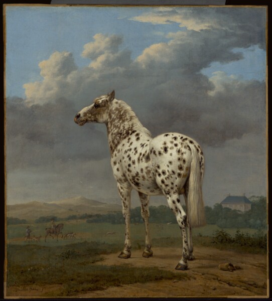 Paulus Potter, The "Piebald" Horse