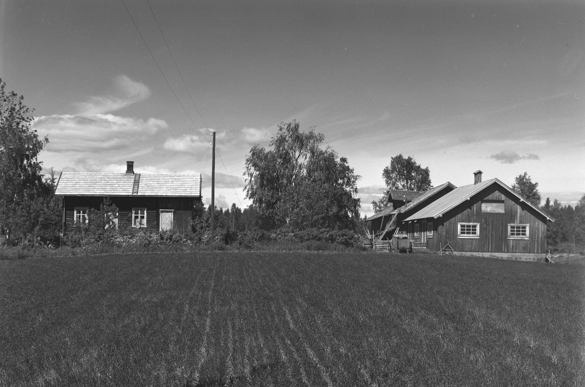 Anno Domkirkeodden, EKSTR: GARDSTUN, ENGEMOEN. Se Løtenboka, Bygdebok fra 1953 bind 2. side 608