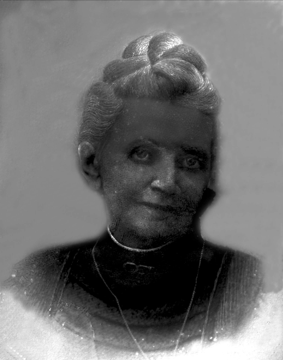 Gustav Borgen, Avfotografering.