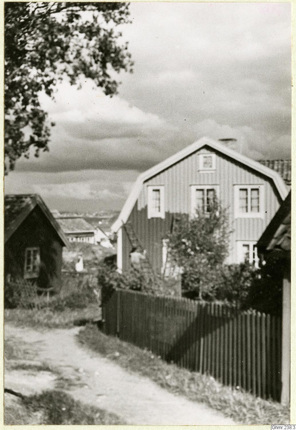 Otto Thulin, fotografi, påsiktsbild, bilder