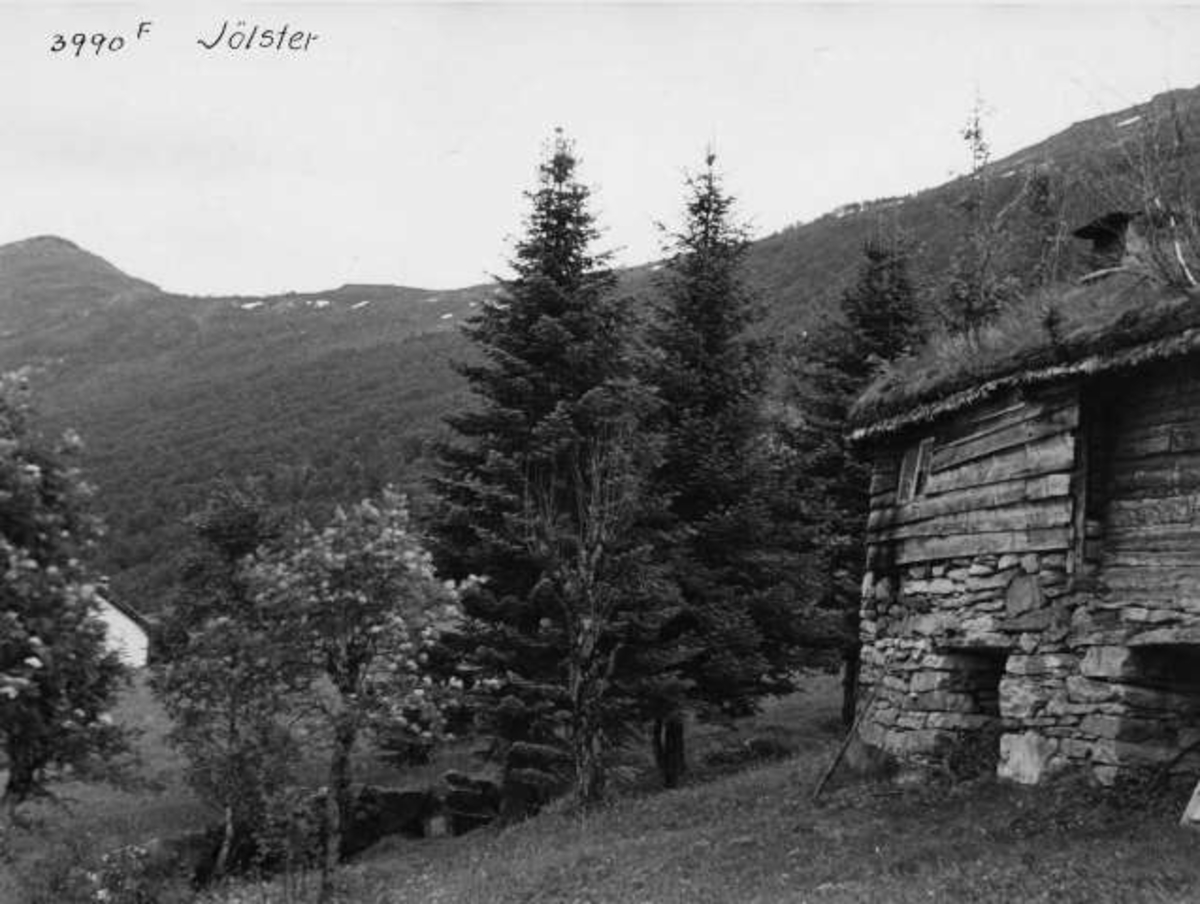 Anders Beer Wilse, -6638