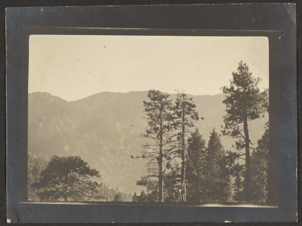 Louis Fleckenstein, [Re-Photographed Landscape]