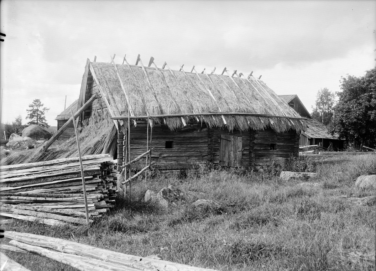 Paul Sandberg, Economy building with a thatched roof, Kvekgården, Fröslunda parish, Uppland 1929
