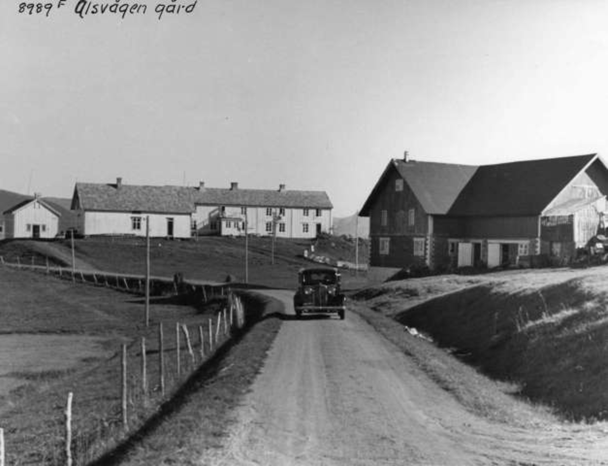 Anders Beer Wilse, -5943