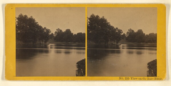 Benjamin West Kilburn, View on the Saco River.