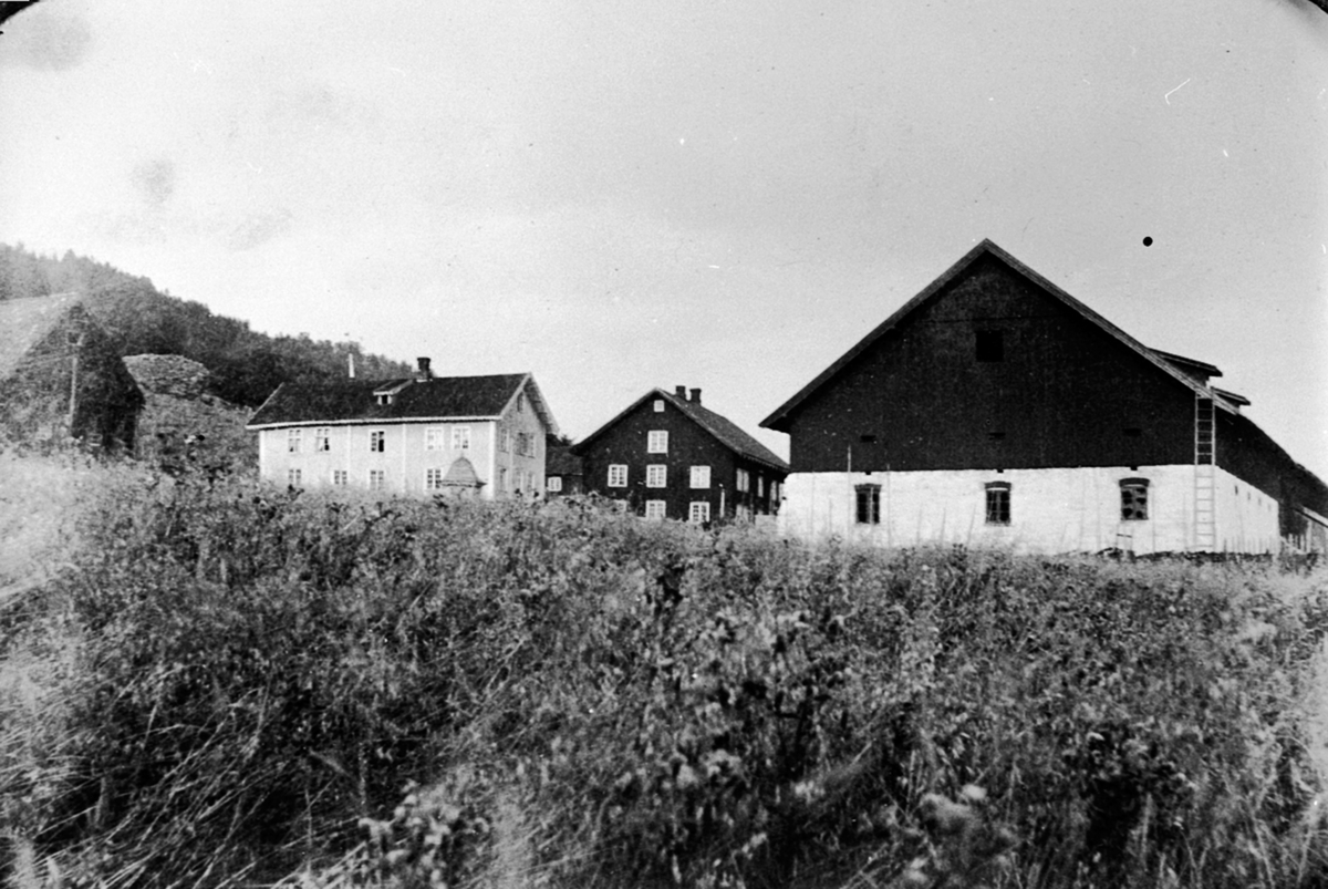 Anno Domkirkeodden, Eksteriør, Simenstad gård, Veldre, Ringsaker. Sett fra syd-vest.