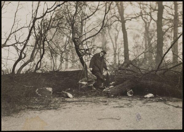 Hoppé, Emil Otto, Kensington Gardens