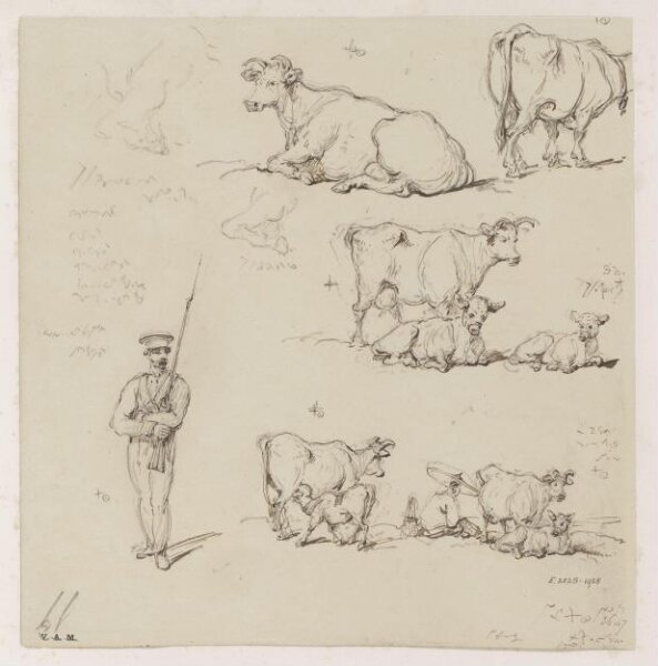 George Chinnery, Drawings of cattle and a soldier