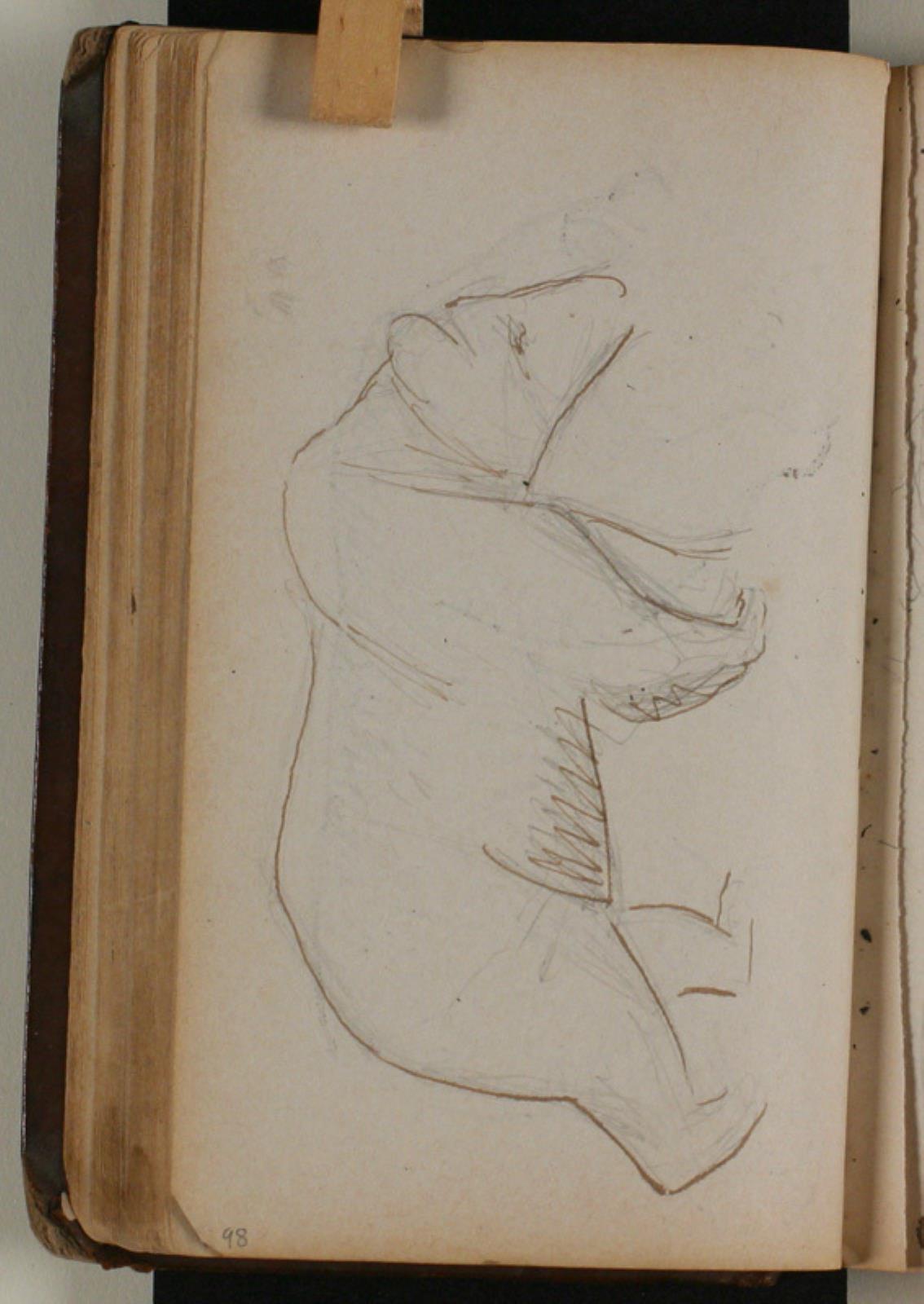 Niels Larsen Stevns, Studie af brun bjørn