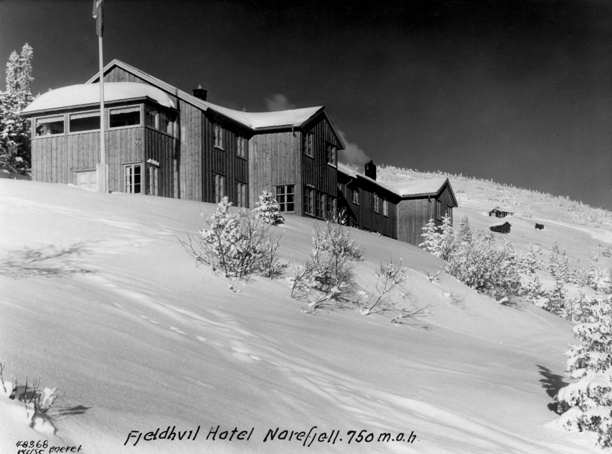 Anders Beer Wilse, Fjellhvil Hotell, vinter, sno.