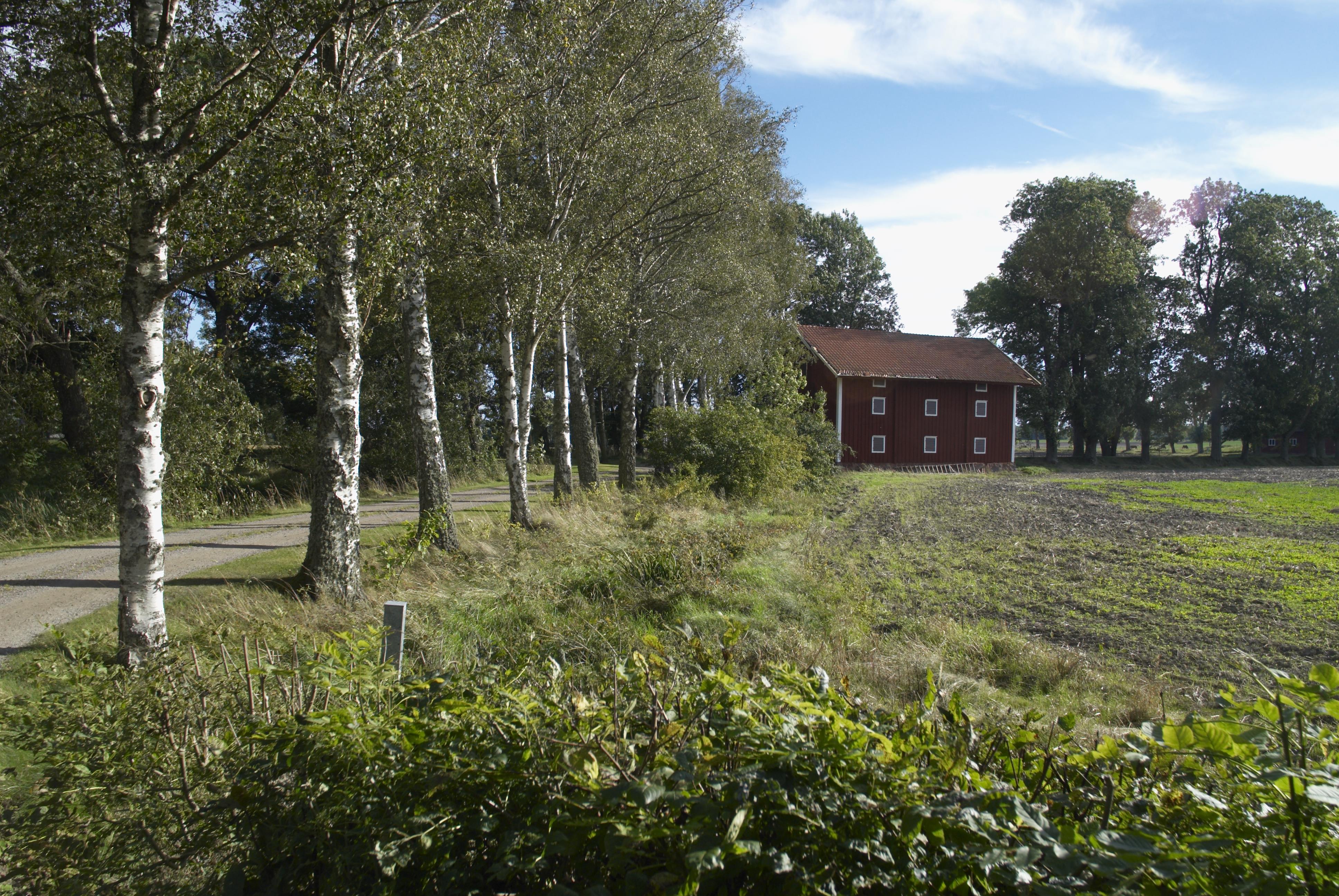 Bengt A Lundberg, Tuna kungsgård