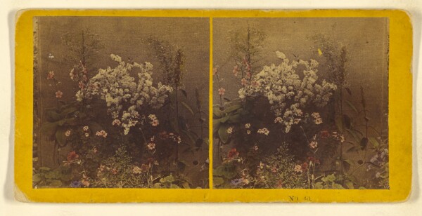 Benjamin West Kilburn, [Flowers]