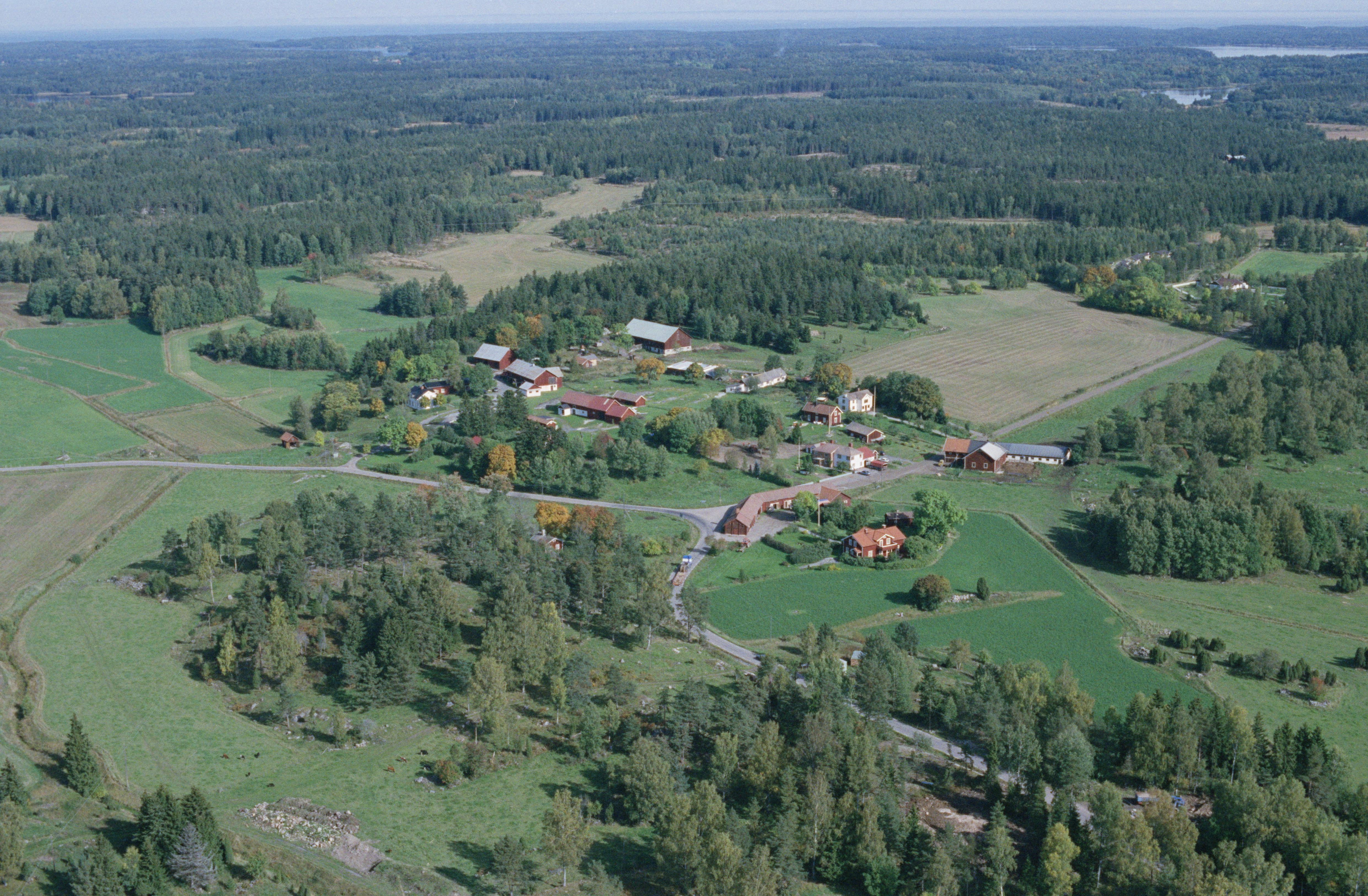 Jan Norrman, Anderssvedja