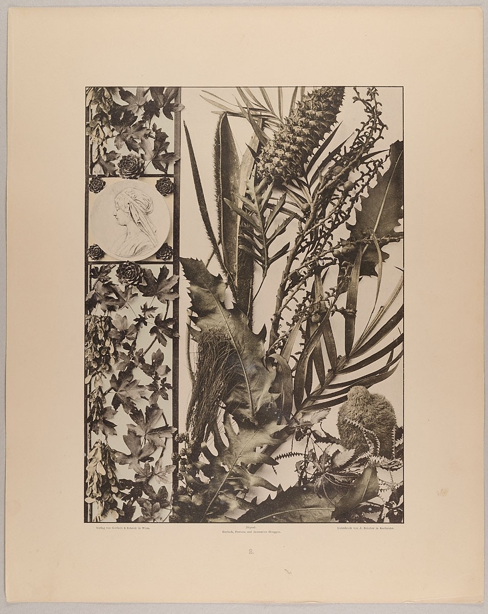 Martin Gerlach, 2. Borte und decorative Gruppe aus Ahorn, Hauswurz und Medaillon, Casuarbaum, Palmen, Silberfichte etc.