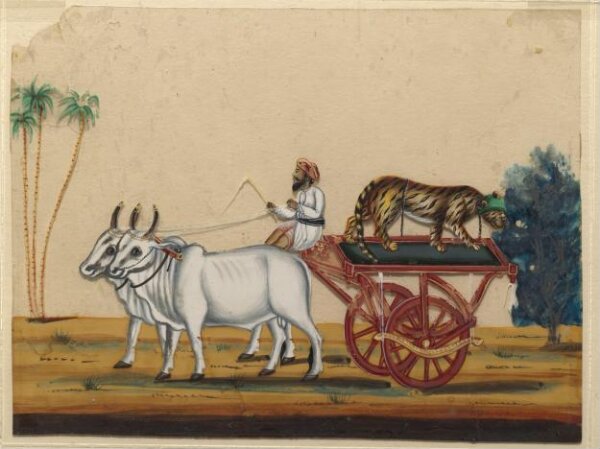 Unknown, A bullock cart carrying a cheetah.