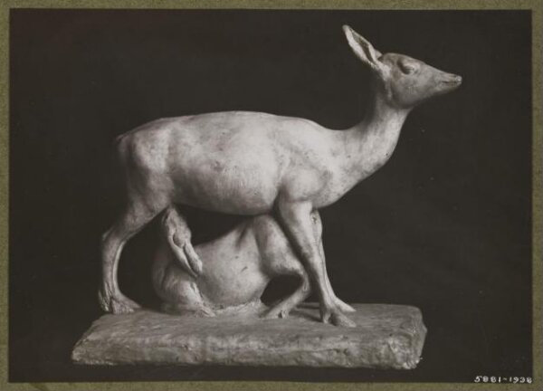 unknown, Photograph
