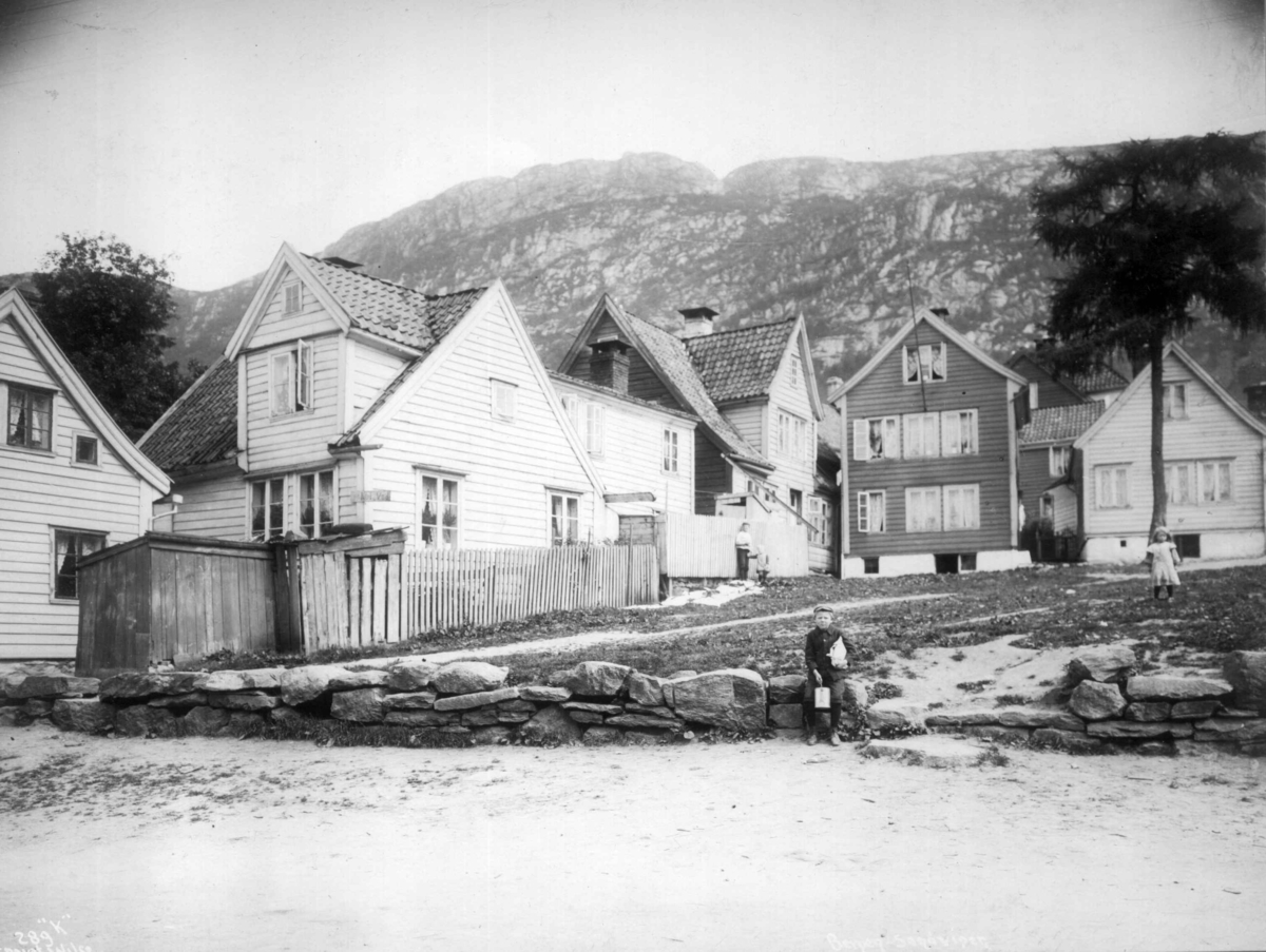 Anders Beer Wilse, Topografi, Sandviken
