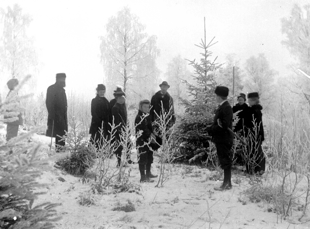 Juliane Fredrikke Langberg, Juletrehugst, ant. i Hurum, familien til soknepresten i Hurum (1897-1904), Olaf A. Holm samlet i skogen . Nr. 2 fra v. er presten, fotografens svoger, gutten midt foran er sønnen Kristofer Holm, mannen med øks er Heinrich Carl (Heini) Hudtwalcker, g. 1903 med prestedatteren Sigrid Holm (helt t.h.).…