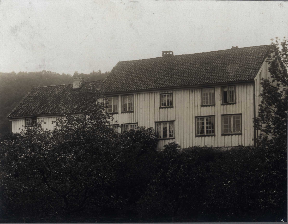 Anders Beer Wilse, Kirsebom i Sokndal, Rogaland.