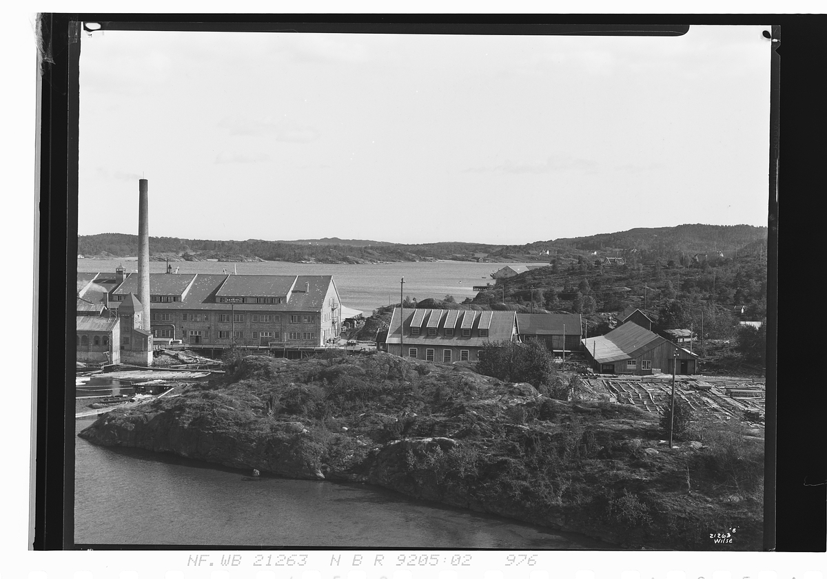 Anders Beer Wilse, Prot: United Lumber Kr.Sand