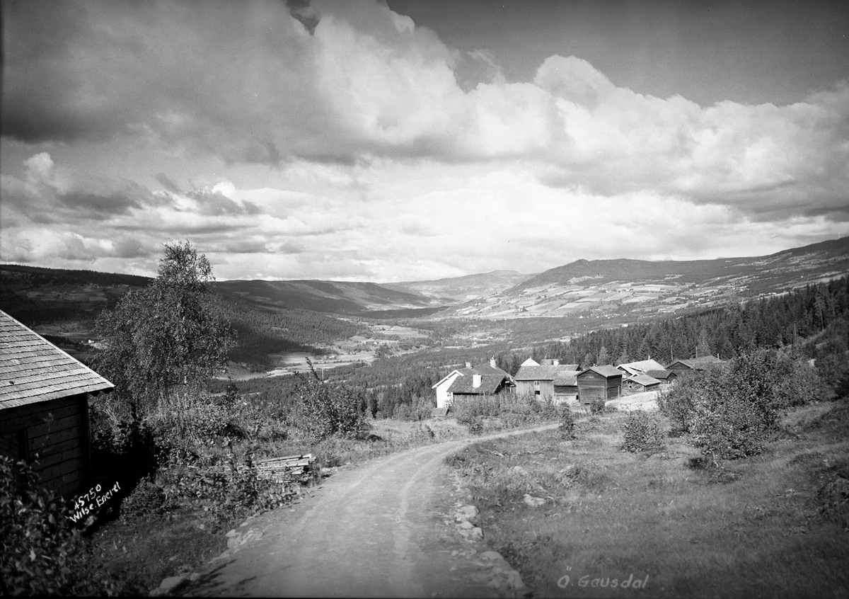 Anders Beer Wilse, Prot: Ø. Gausdal, mot V Gausdal