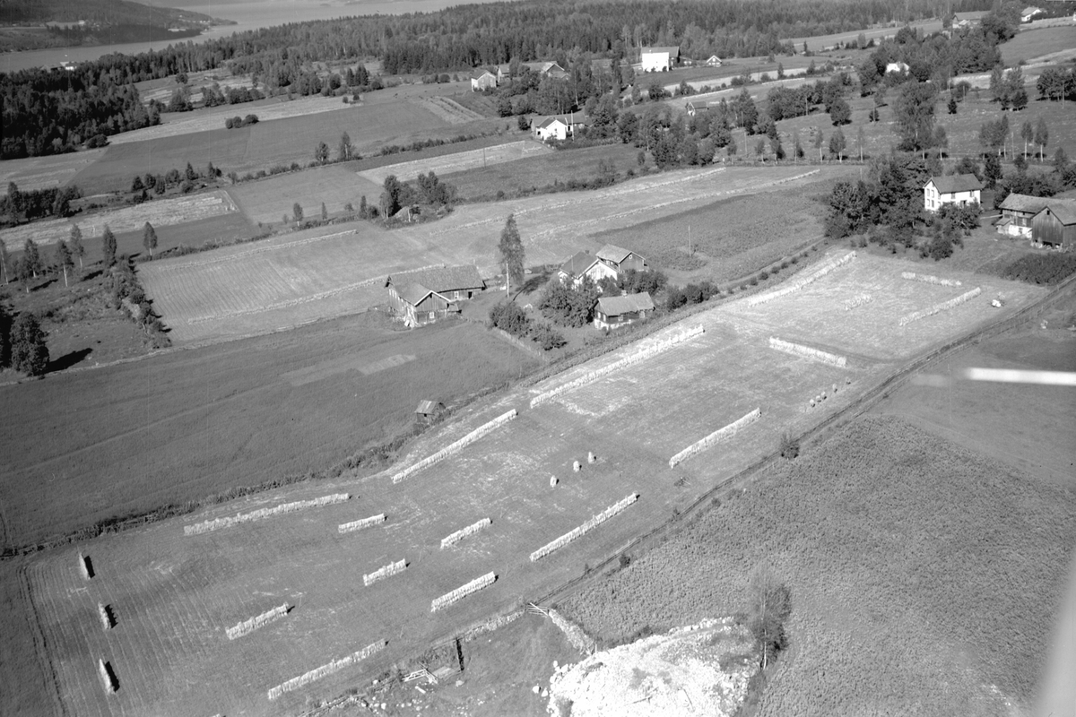 Anno Domkirkeodden, Flyfoto av Kjelsrud nedre, Gaupen, Ringsaker. Kjelsrud øvre til høyre, Breistu og Haug i bakgrunnen.