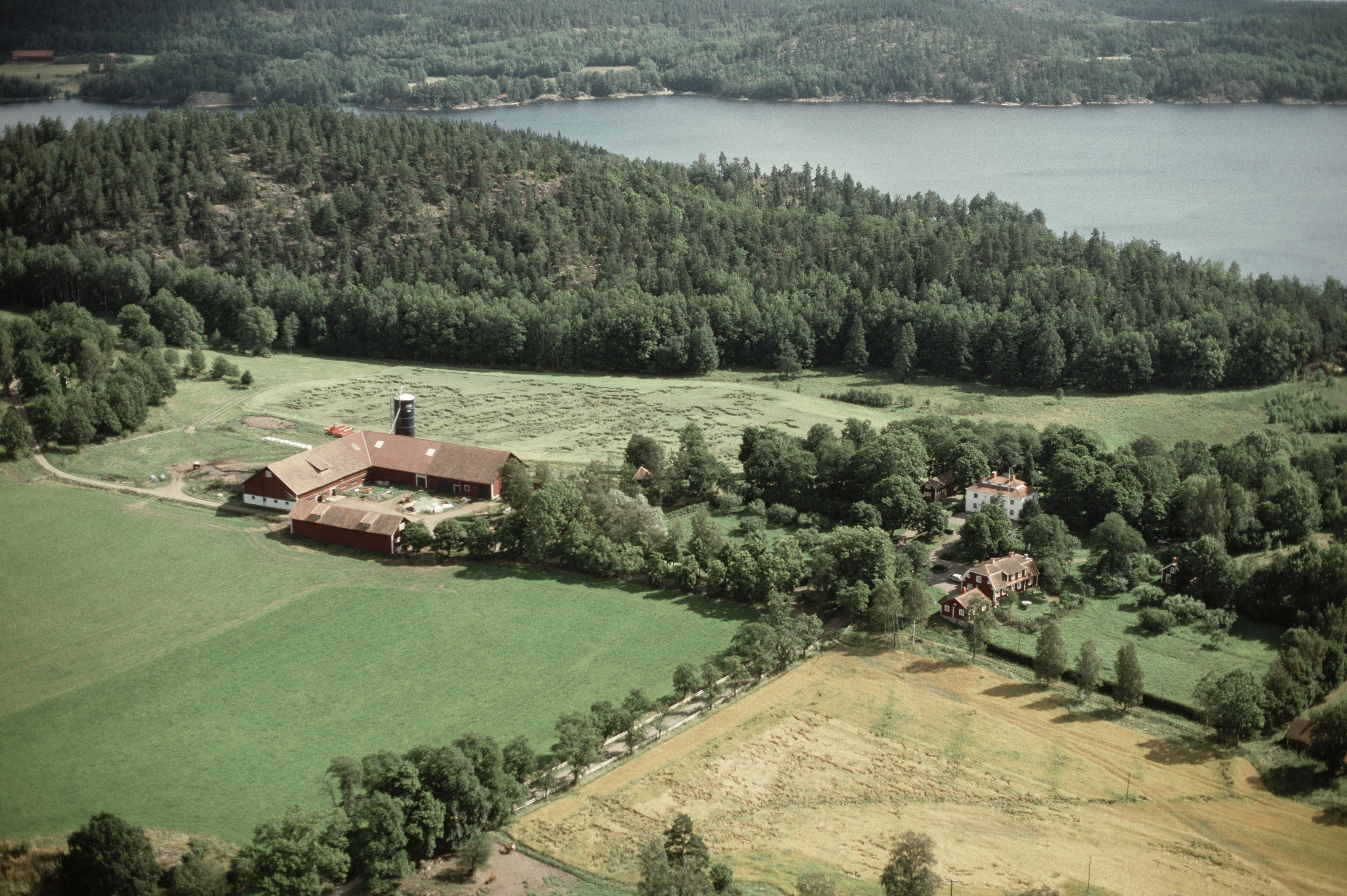 Jan Norrman, Västra Eneby 18:1