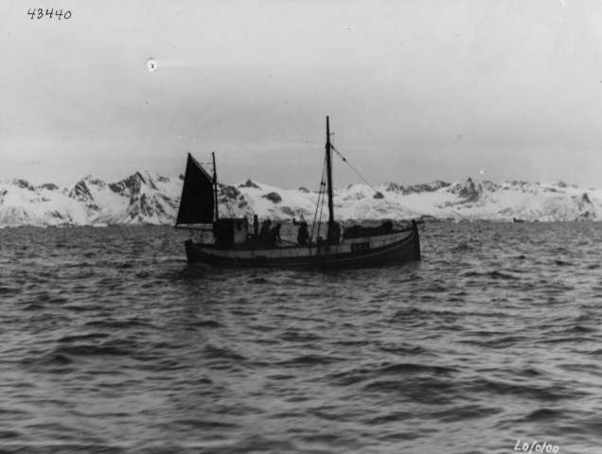 Anders Beer Wilse, -7385