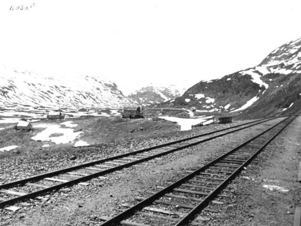 Anders Beer Wilse, -5946