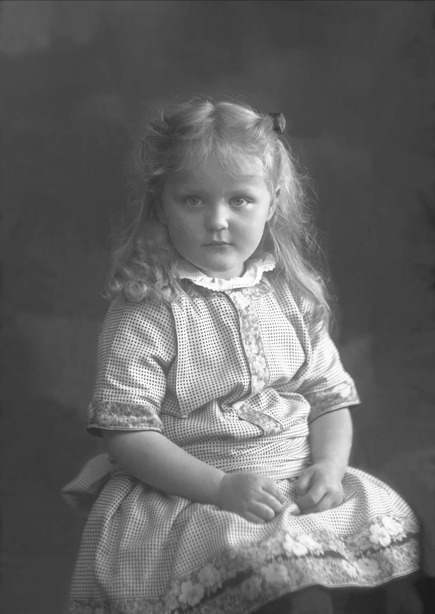 Gustav Borgen, NFB.51466